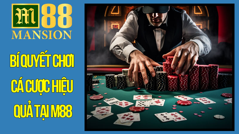 Bí quyết chơi cá cược hiệu quả tại M88 Bí quyết chơi cá cược hiệu quả tại M88