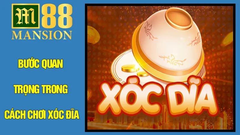 Bước Khởi Đầu Quan Trọng Nhất Trong Cách Chơi Xóc Đĩa Bước Khởi Đầu Quan Trọng Nhất Trong Cách Chơi Xóc Đĩa