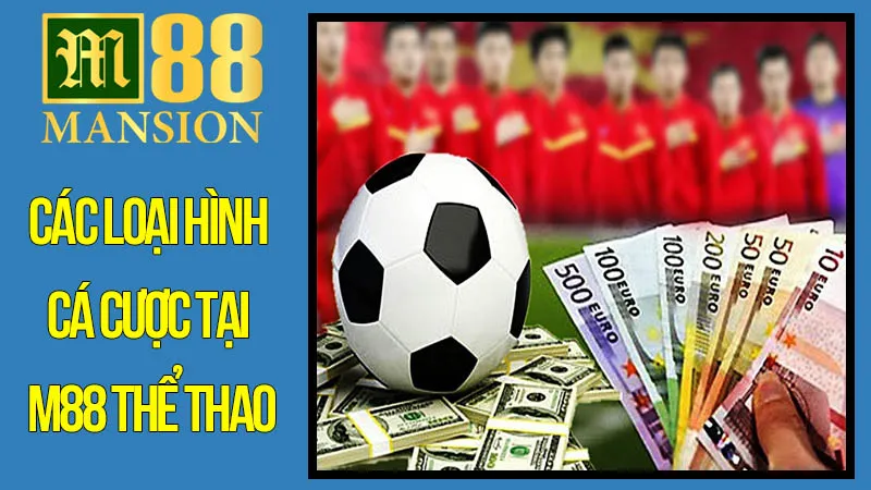 Các Loại Hình Cá Cược Tại M88 Thể Thao Các Loại Hình Cá Cược Tại M88 Thể Thao
