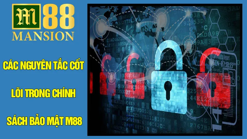 Các Nguyên Tắc Cốt Lõi Trong Chính Sách Bảo Mật M88 Các Nguyên Tắc Cốt Lõi Trong Chính Sách Bảo Mật M88