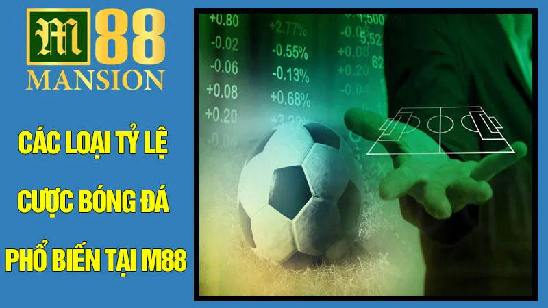 Các loại tỷ lệ cược bóng đá phổ biến tại M88 Các loại tỷ lệ cược bóng đá phổ biến tại M88