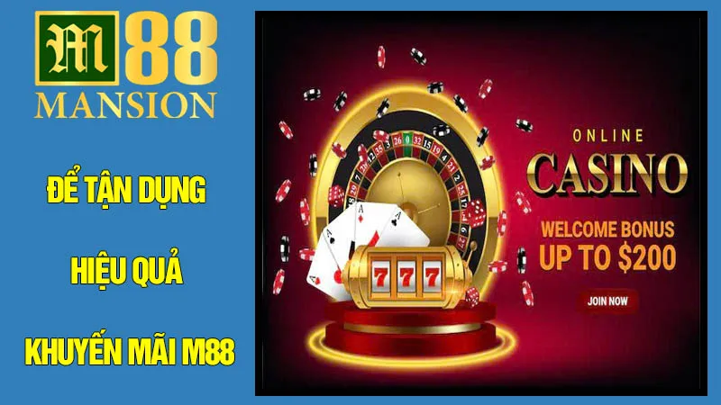 Những Lưu Ý Quan Trọng Để Tận Dụng Hiệu Quả Khuyến Mãi M88 Những Lưu Ý Quan Trọng Để Tận Dụng Hiệu Quả Khuyến Mãi M88