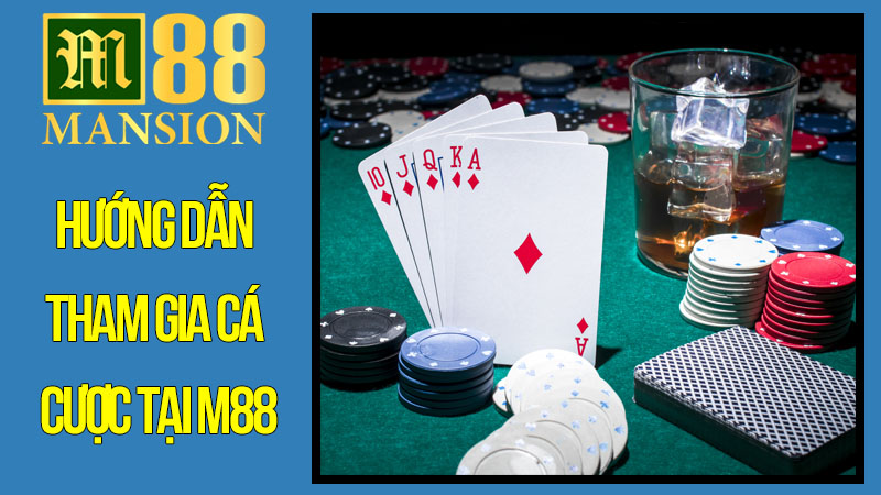 Hướng dẫn tham gia cá cược tại M88 Hướng dẫn tham gia cá cược tại M88