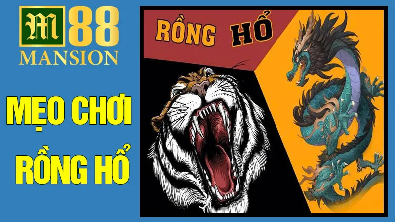 Mẹo Chơi Rồng Hổ