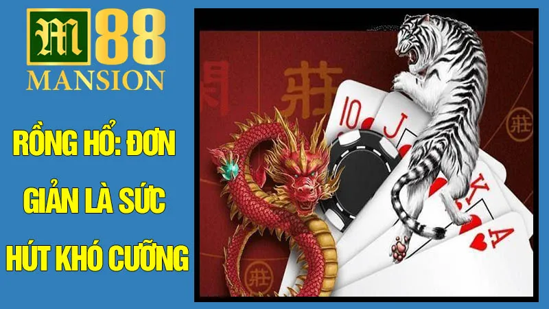 Rồng Hổ: Đơn Giản Là Sức Hút Khó Cưỡng