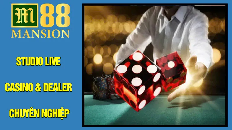 Studio Live Casino & Dealer Chuyên Nghiệp Studio Live Casino & Dealer Chuyên Nghiệp