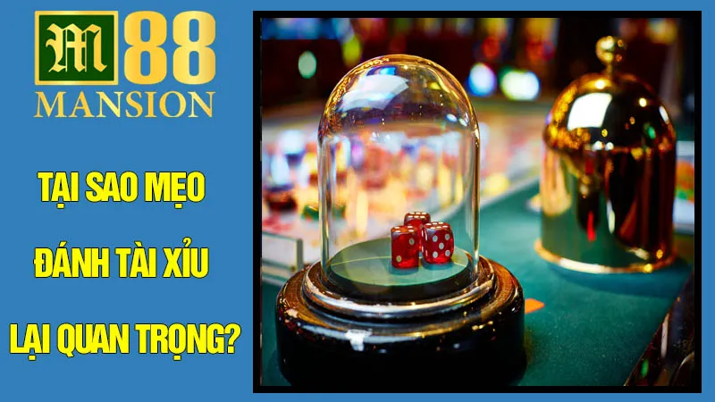 Tại Sao Mẹo Đánh Tài Xỉu Lại Quan Trọng? Tại Sao Mẹo Đánh Tài Xỉu Lại Quan Trọng?