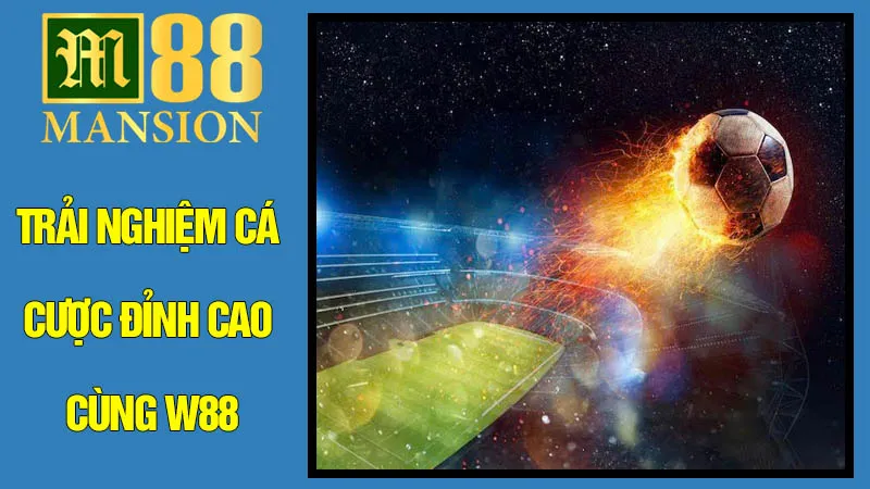 Trải nghiệm cá cược đỉnh cao cùng M88 Trải nghiệm cá cược đỉnh cao cùng M88
