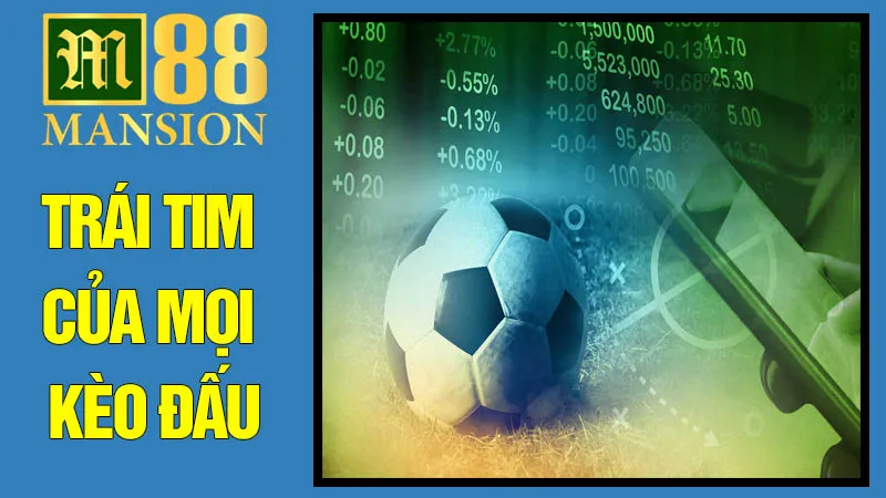 Tỷ lệ cược bóng đá: Trái tim của mọi kèo đấu Tỷ lệ cược bóng đá: Trái tim của mọi kèo đấu