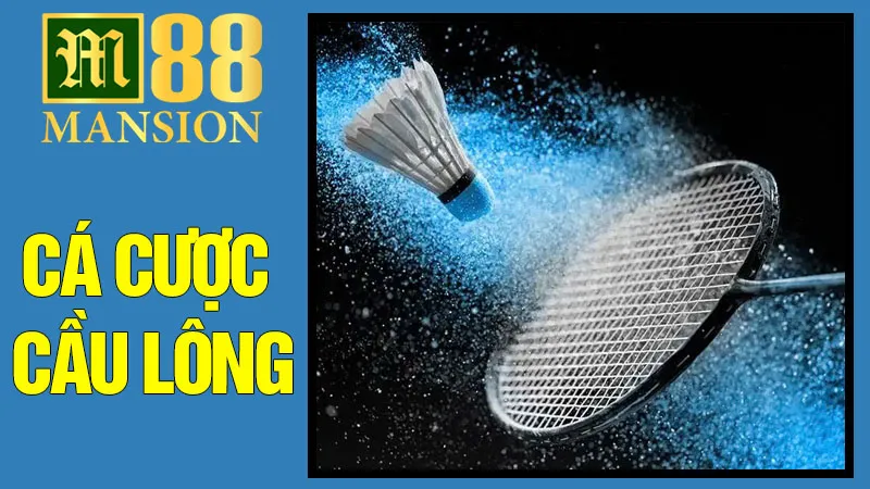 Cá Cược Cầu Lông