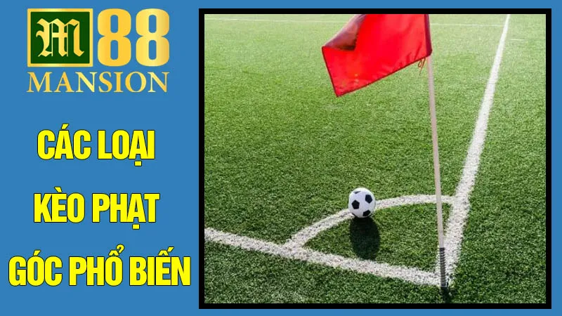 Các Loại Kèo Phạt Góc Phổ Biến Các Loại Kèo Phạt Góc Phổ Biến