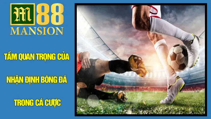 Tầm Quan Trọng Của Nhận Định Bóng Đá Trong Cá Cược Tầm Quan Trọng Của Nhận Định Bóng Đá Trong Cá Cược