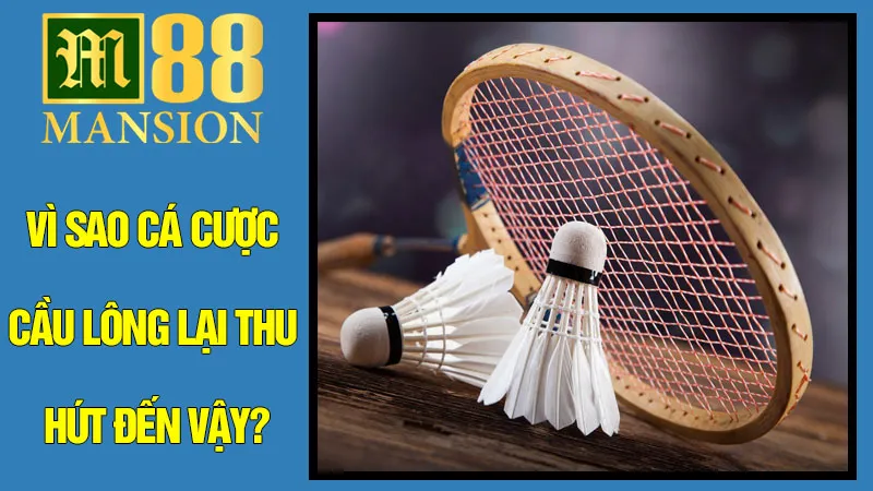 Vì Sao Cá Cược Cầu Lông Lại Thu Hút Đến Vậy? Vì Sao Cá Cược Cầu Lông Lại Thu Hút Đến Vậy?