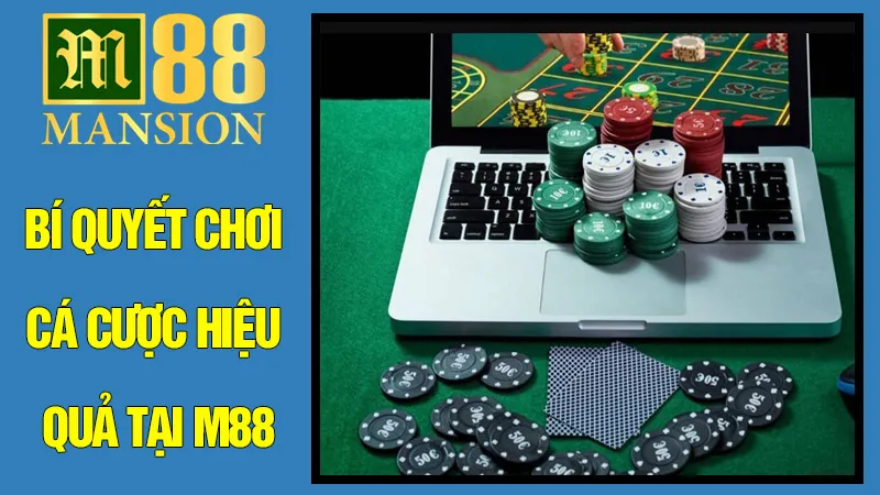 Bí Quyết Chơi Cá Cược Hiệu Quả Tại M88 – Nâng Cao Cơ Hội Thắng