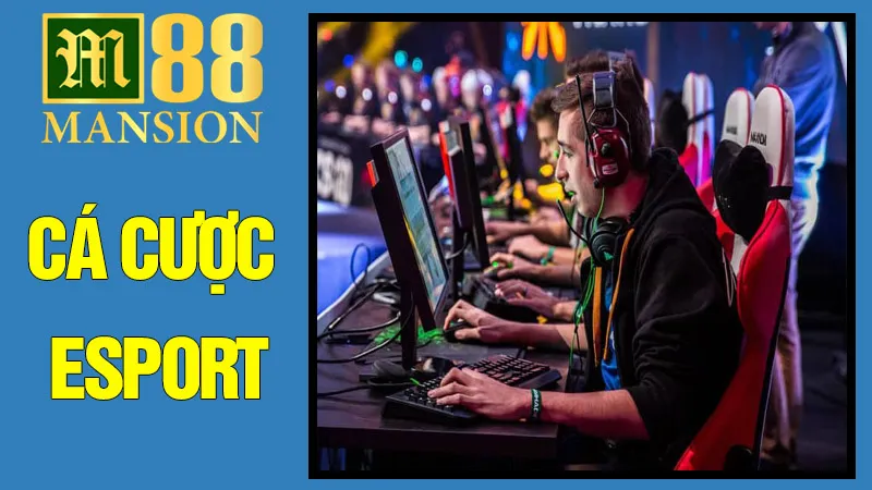 Cá Cược Esport
