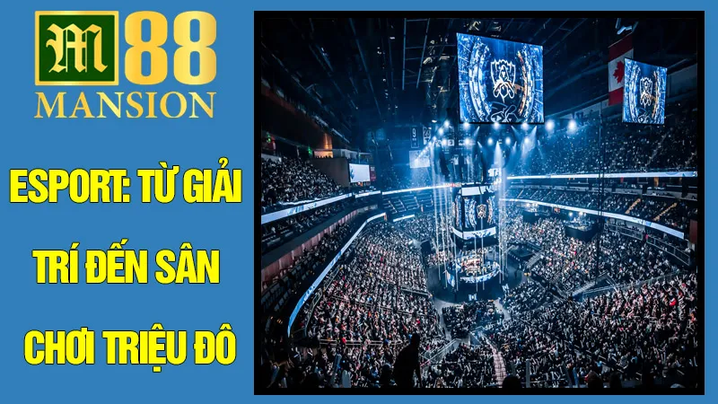 Esport: Từ Giải Trí Đến Sân Chơi Triệu Đô Esport: Từ Giải Trí Đến Sân Chơi Triệu Đô