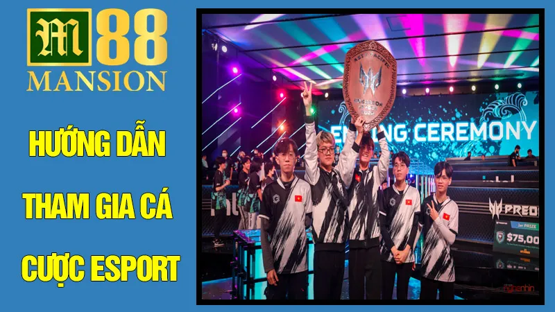 Hướng Dẫn Tham Gia Cá Cược Esport An Toàn & Hiệu Quả Hướng Dẫn Tham Gia Cá Cược Esport An Toàn & Hiệu Quả