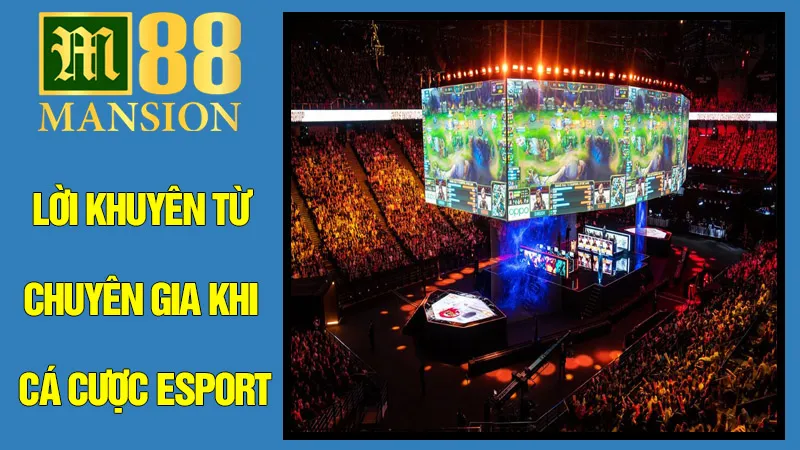 Chiến Lược Nâng Cao & Lời Khuyên Từ Chuyên Gia Khi Cá Cược Esport Chiến Lược Nâng Cao & Lời Khuyên Từ Chuyên Gia Khi Cá Cược Esport